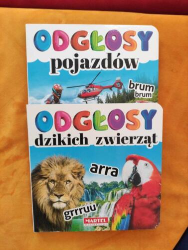 7NOWEXDZ