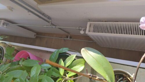 IMG 20260121 114355894 HDR